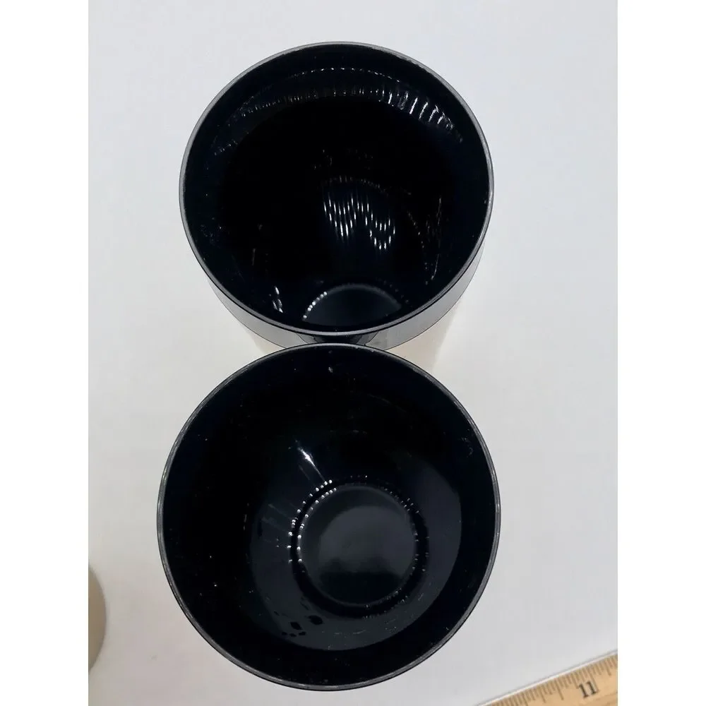 Gold Black Geese Deer Fish Design Plastic‎ Glass Tumbler NFC Insulated set of 2